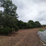 Paisajes entrerrianos: Reserva Chaviyú
